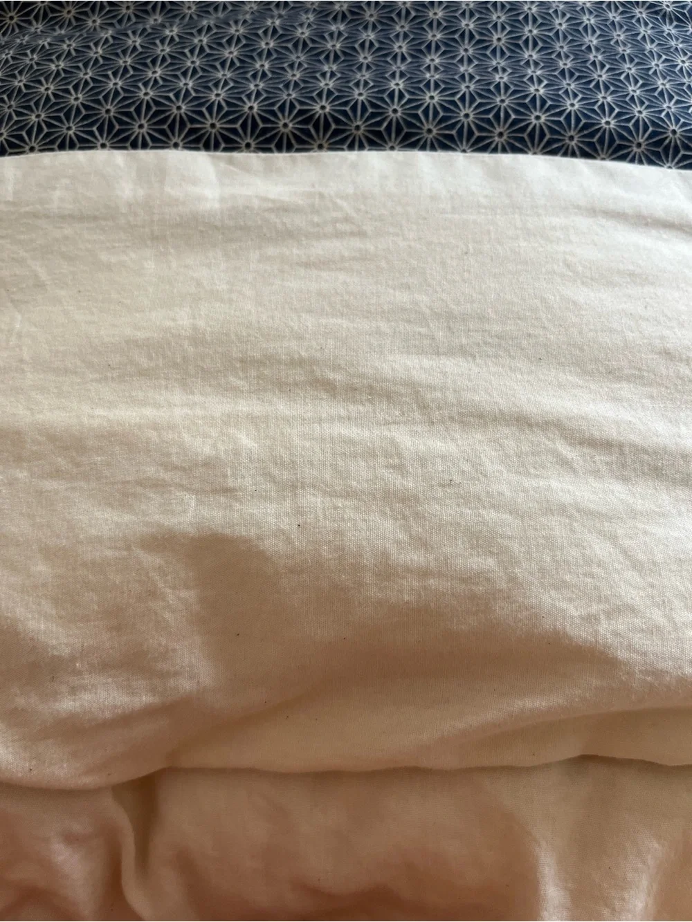 Earthsake 100% Wool Organic Cotton Cover with Navy Comforter Cover Twin 68x88